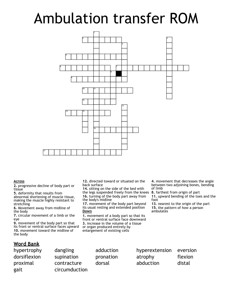 Ambulation transfer ROM Crossword