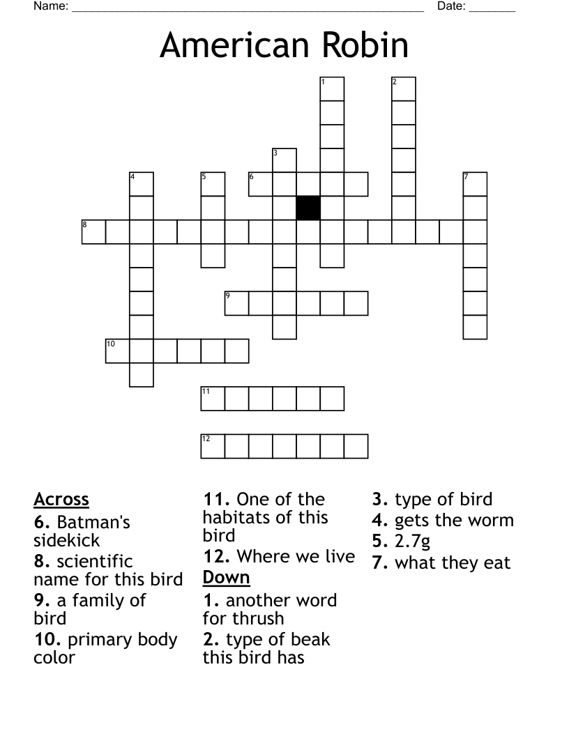 American Robin Crossword