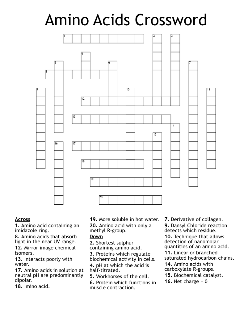 Amino Acids Crossword