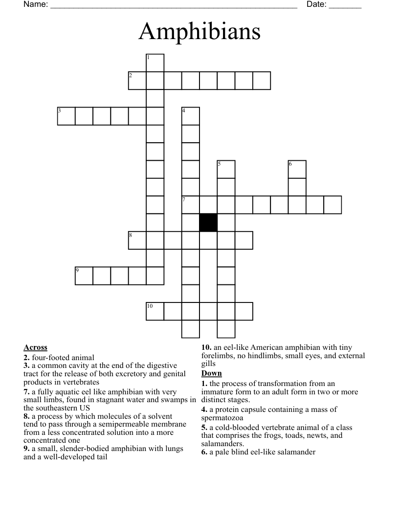Amphibians  Crossword