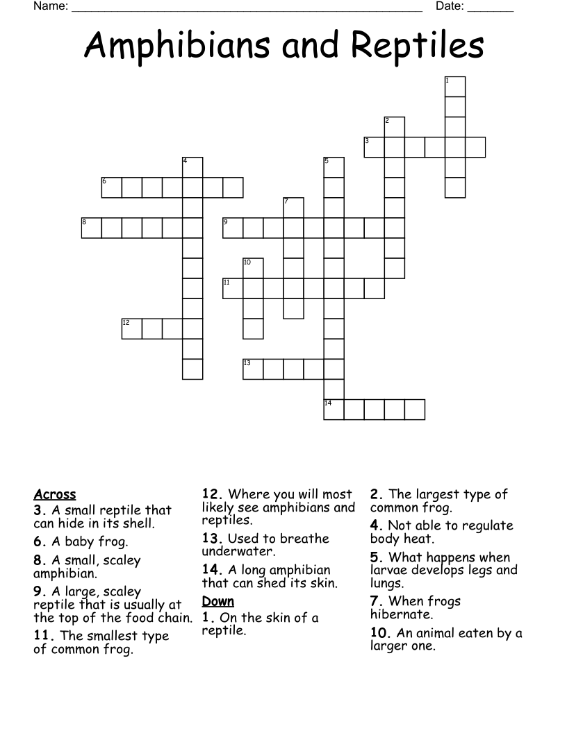 Amphibians and Reptiles Crossword