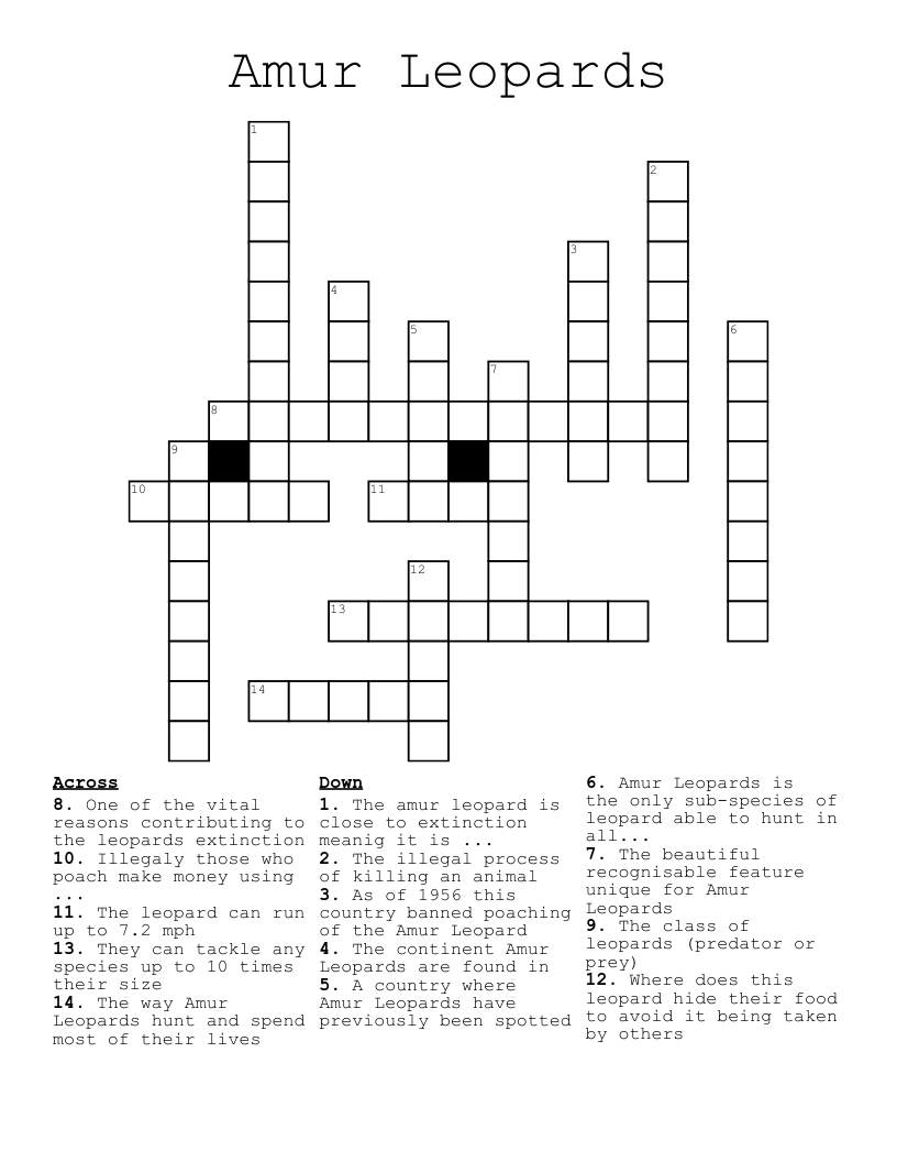 Amur Leopards Crossword