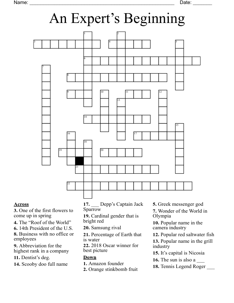 An Expert’s Beginning  Crossword