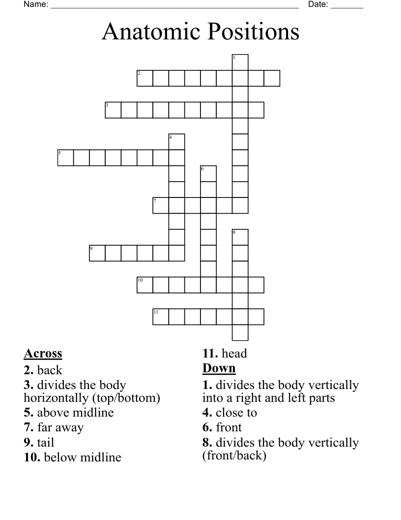 Anatomic Positions  Crossword