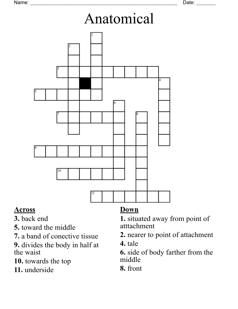 Anatomical Crossword