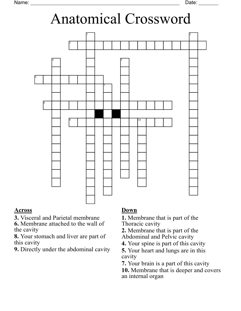 Anatomical Crossword