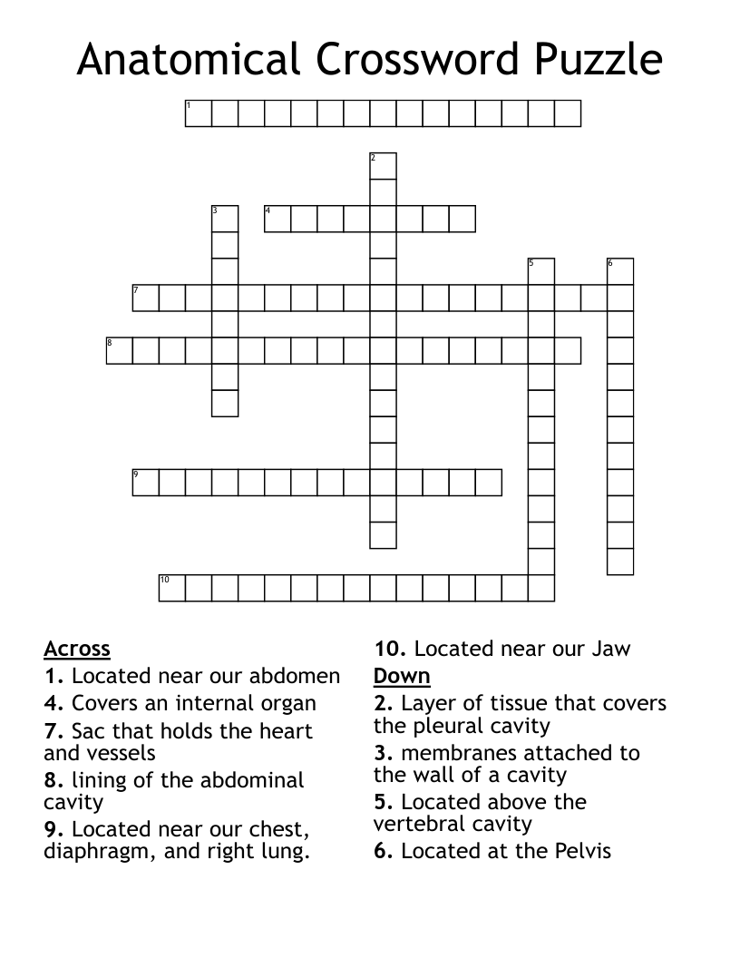 Anatomical Crossword Puzzle