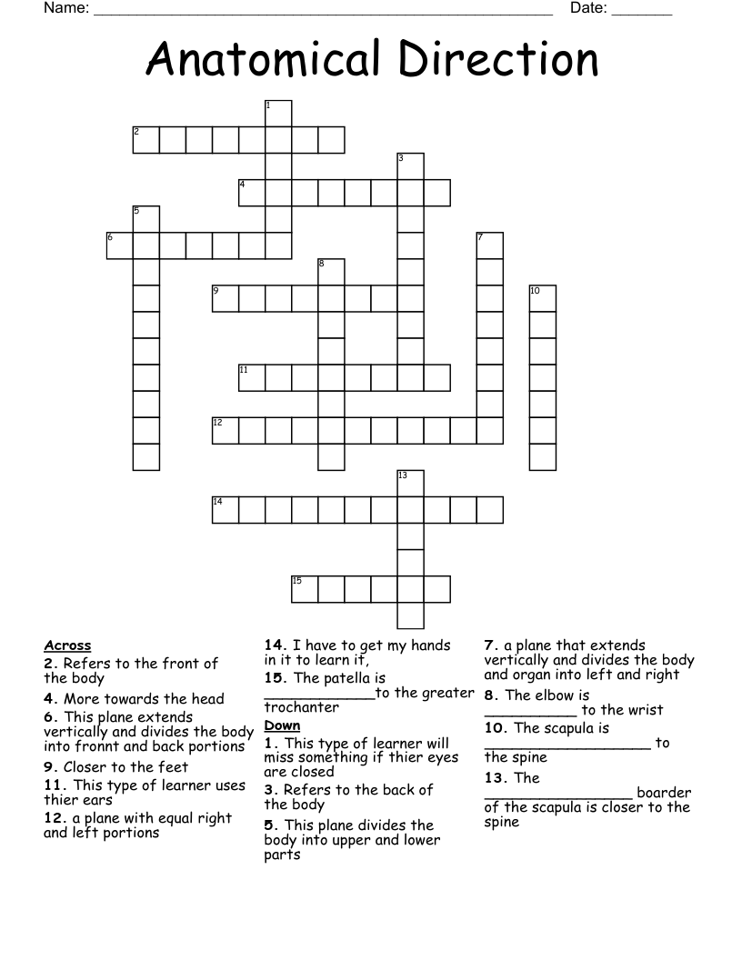 Anatomical Direction  Crossword