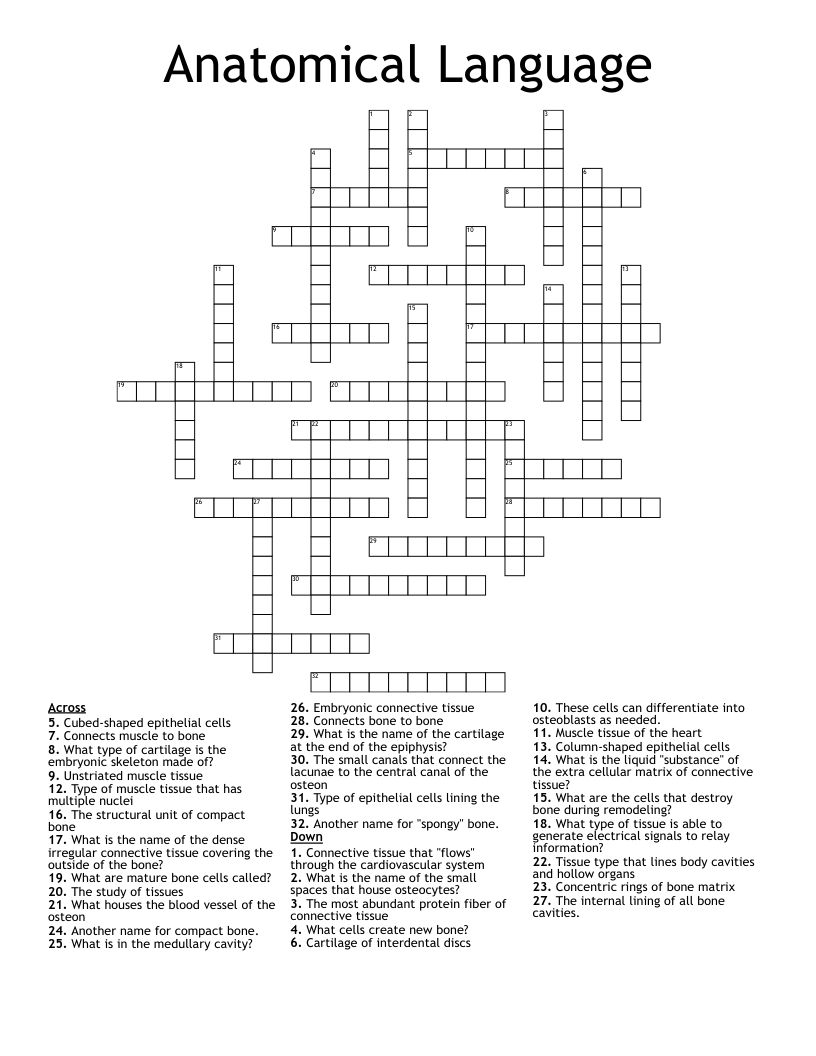 Anatomical Language Crossword
