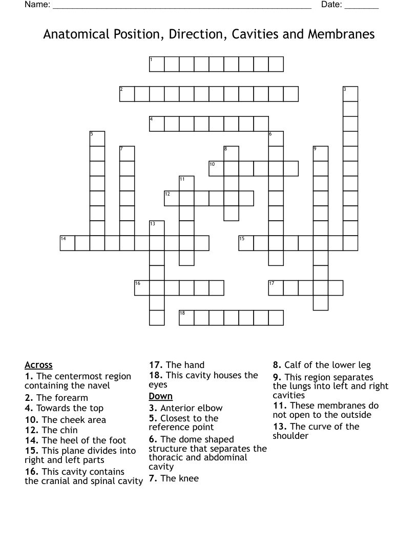 Anatomical Position, Direction, Cavities and Membranes Crossword