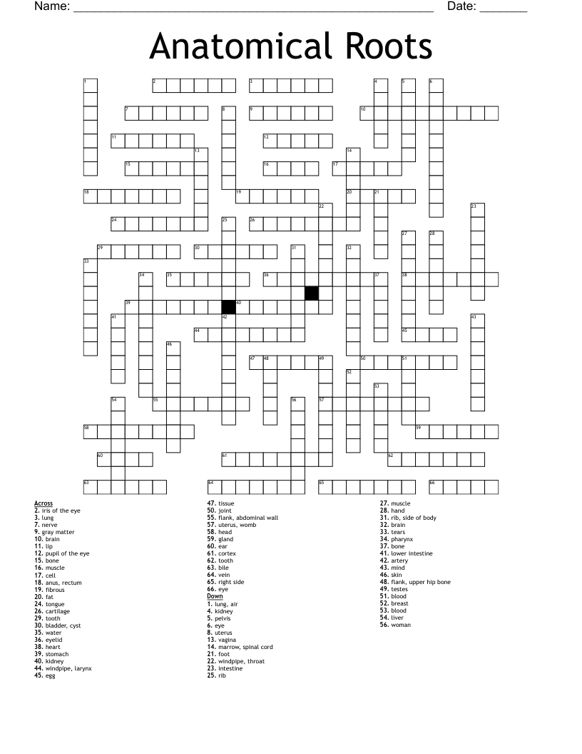 Anatomical Roots Crossword