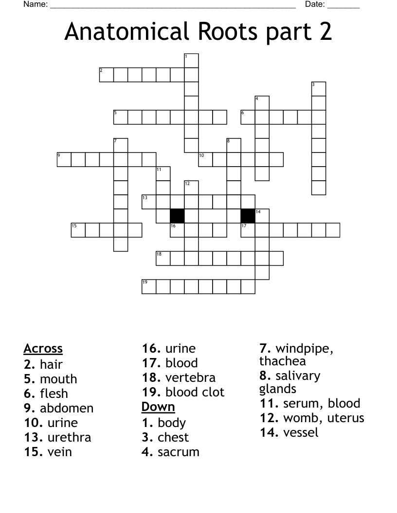 Anatomical Roots part 2 Crossword