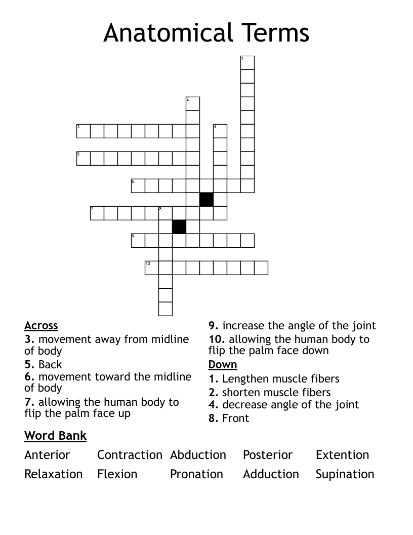 Anatomical Terms Crossword