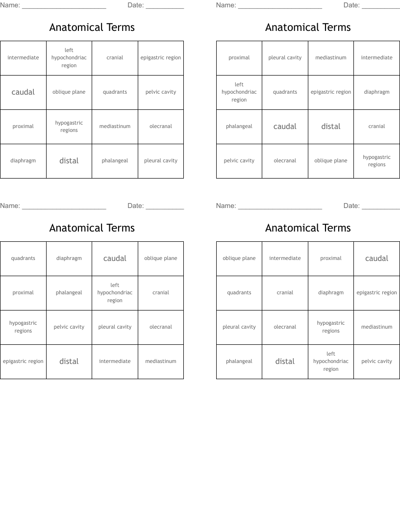 Anatomical Terms Bingo Cards