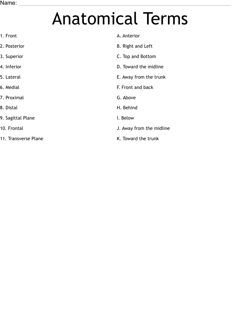 Anatomical Terms Worksheet