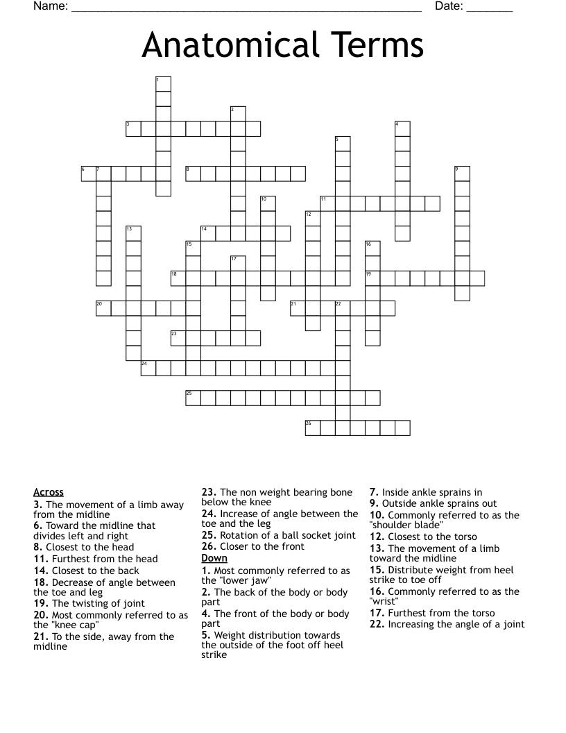 Anatomical Terms Crossword