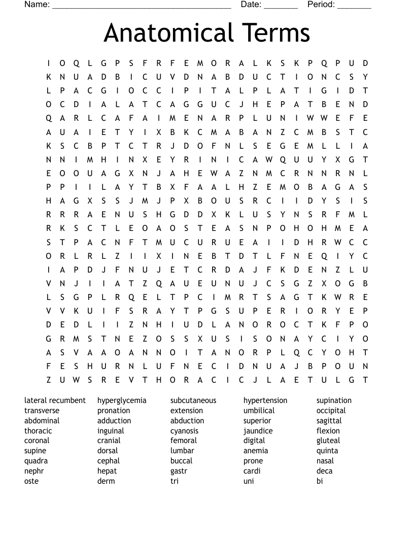 Anatomical Terms Word Search
