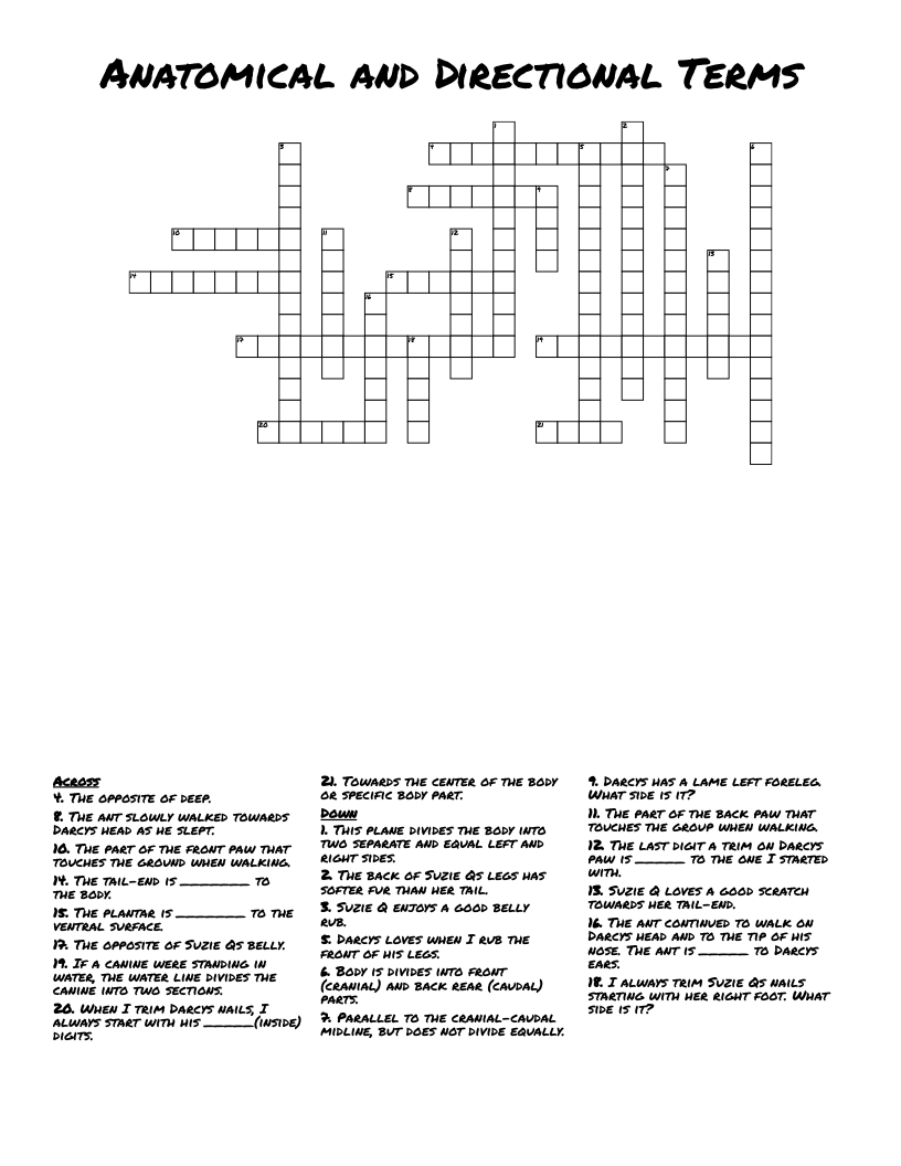 Anatomical and Directional Terms  Crossword