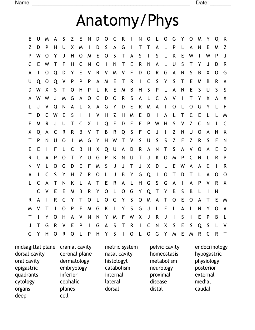 Anatomy/Phys Word Search