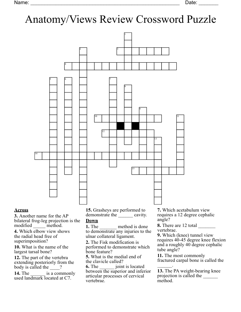 Anatomy/Views Review Crossword Puzzle