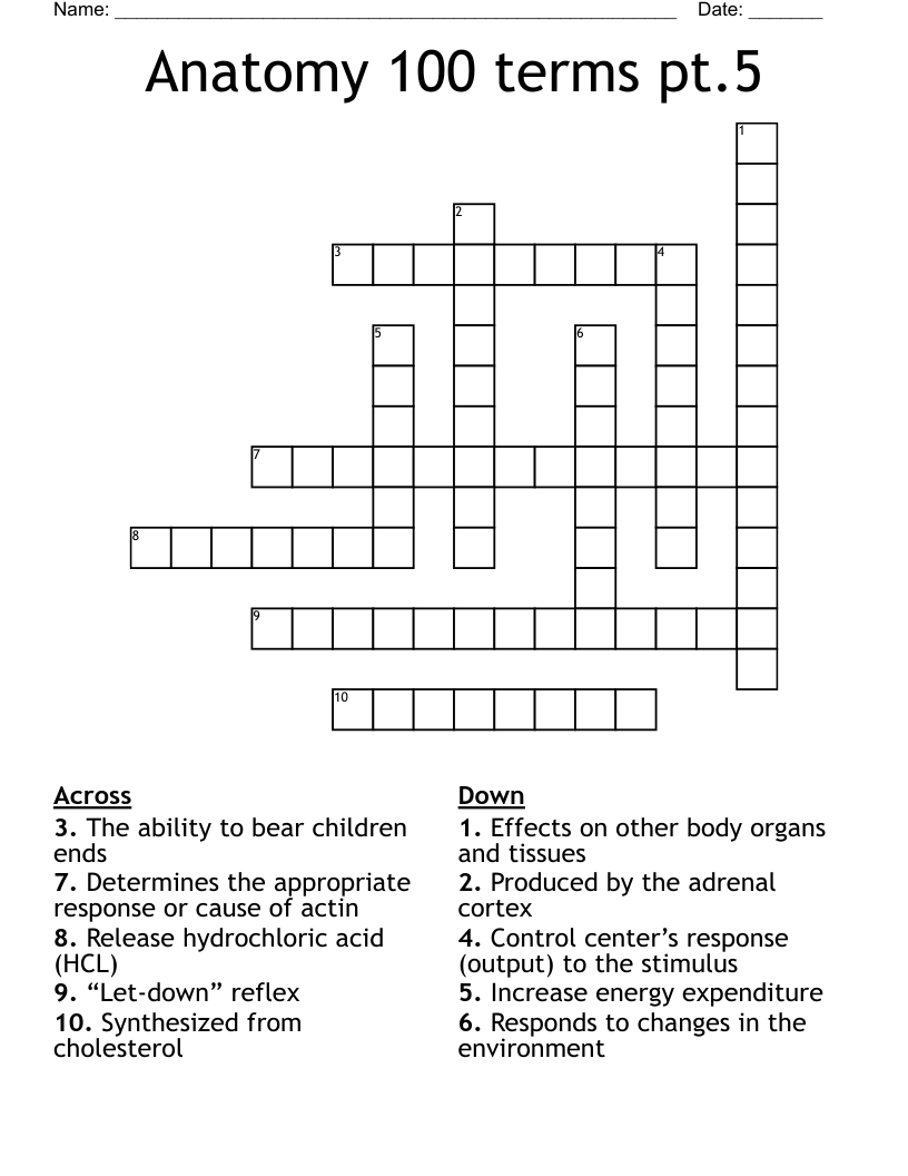 Anatomy 100 terms pt.5  Crossword