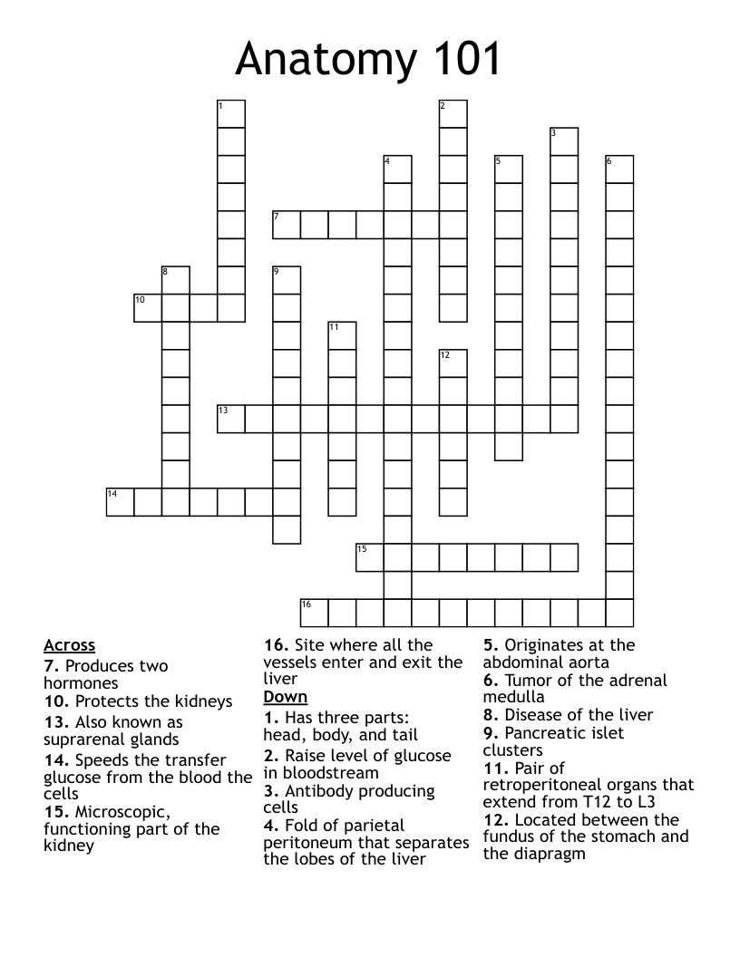 Anatomy 101 Crossword