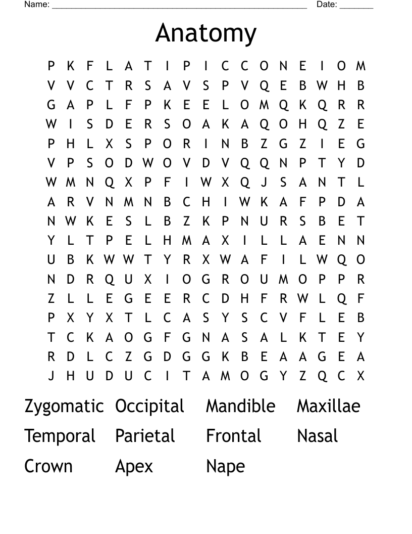 Anatomy Word Search