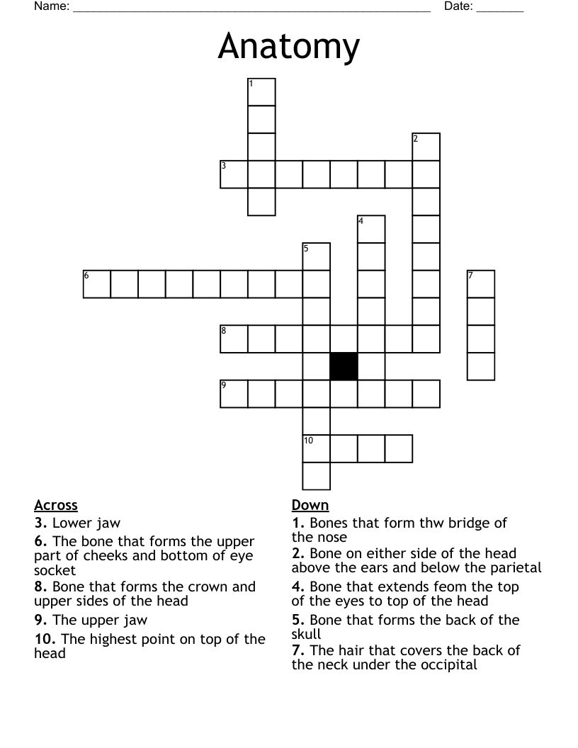 Anatomy Crossword
