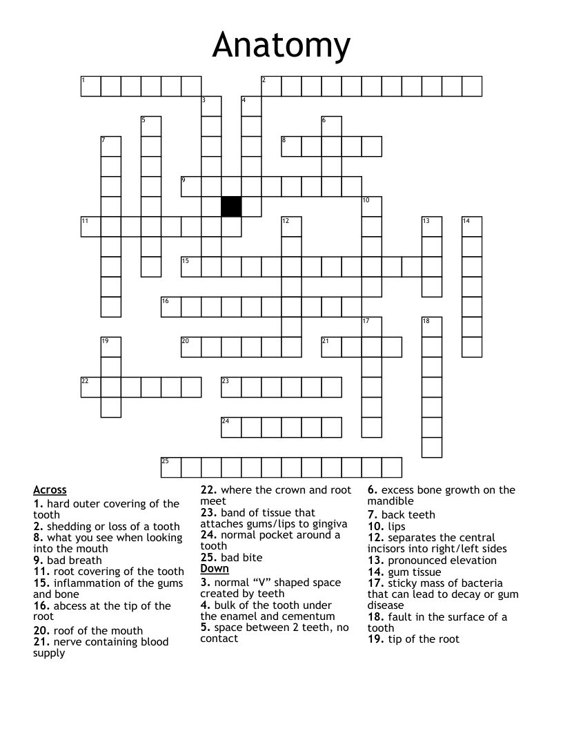 Anatomy Crossword