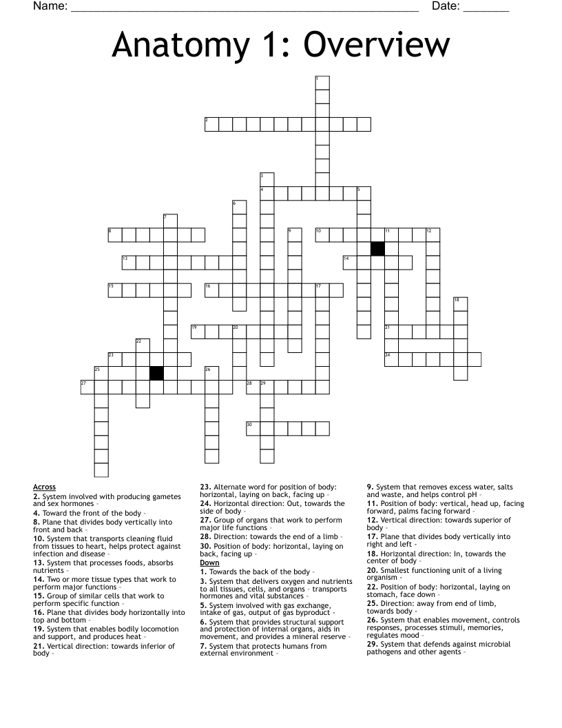 Anatomy 1: Overview Crossword