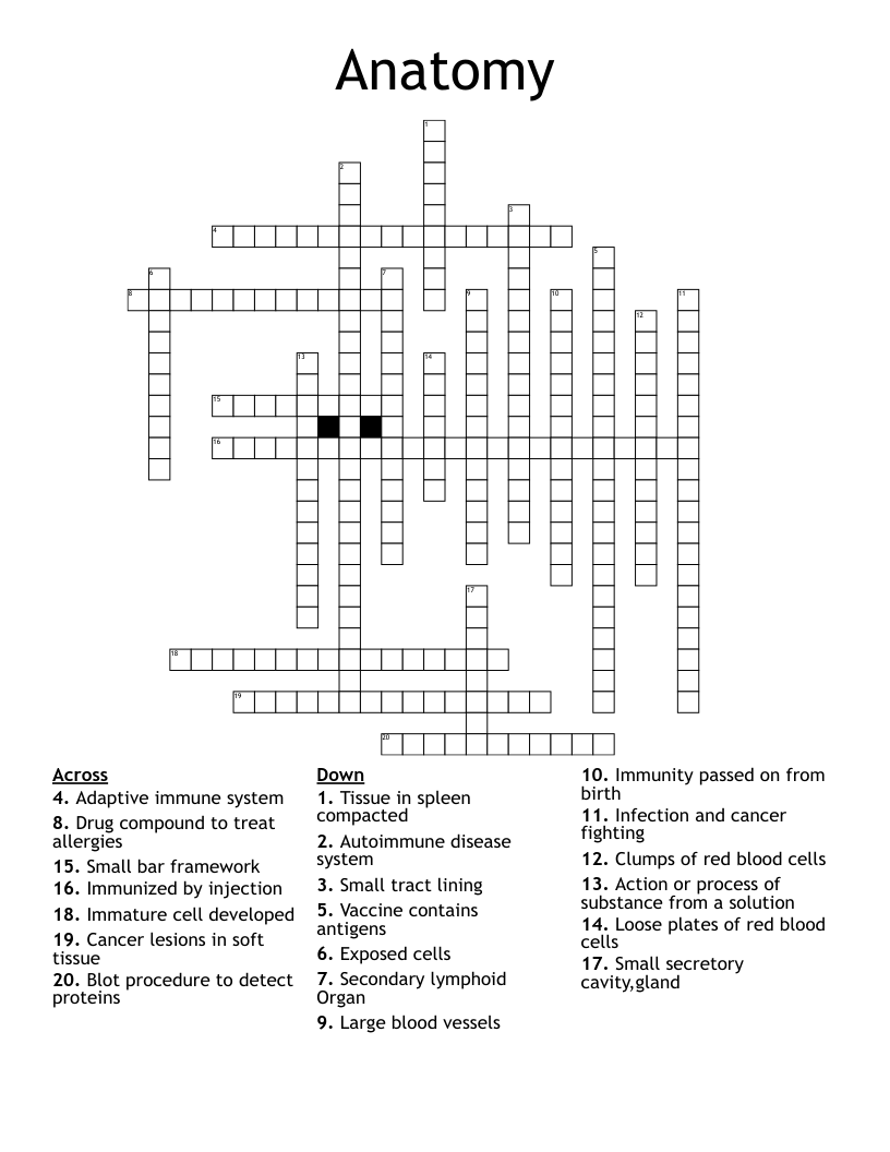 Anatomy Crossword