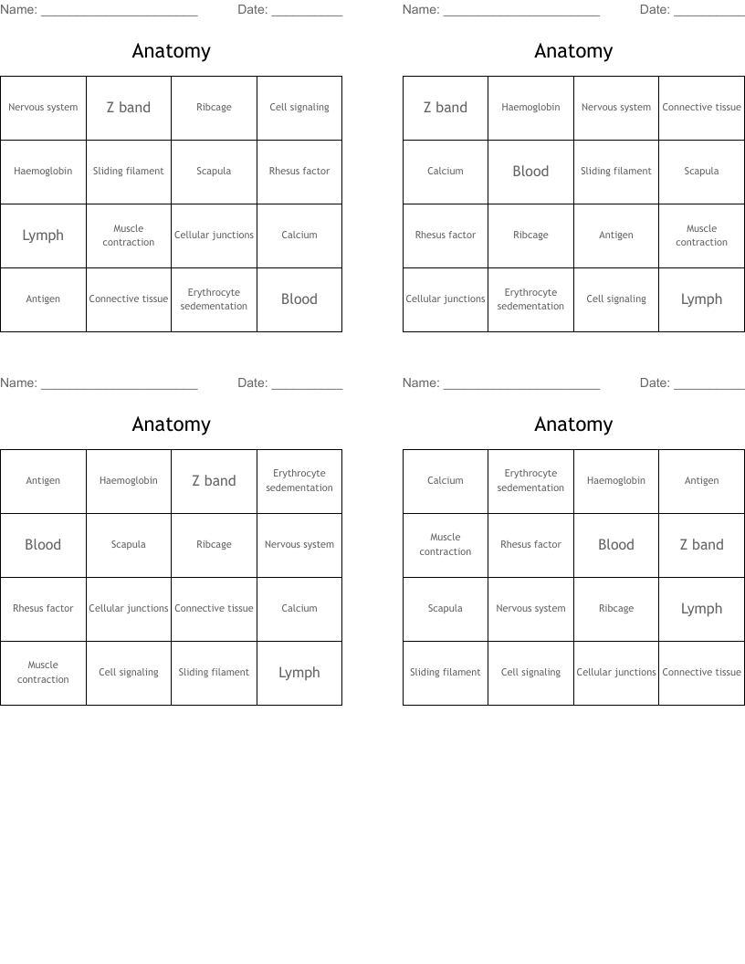 Anatomy