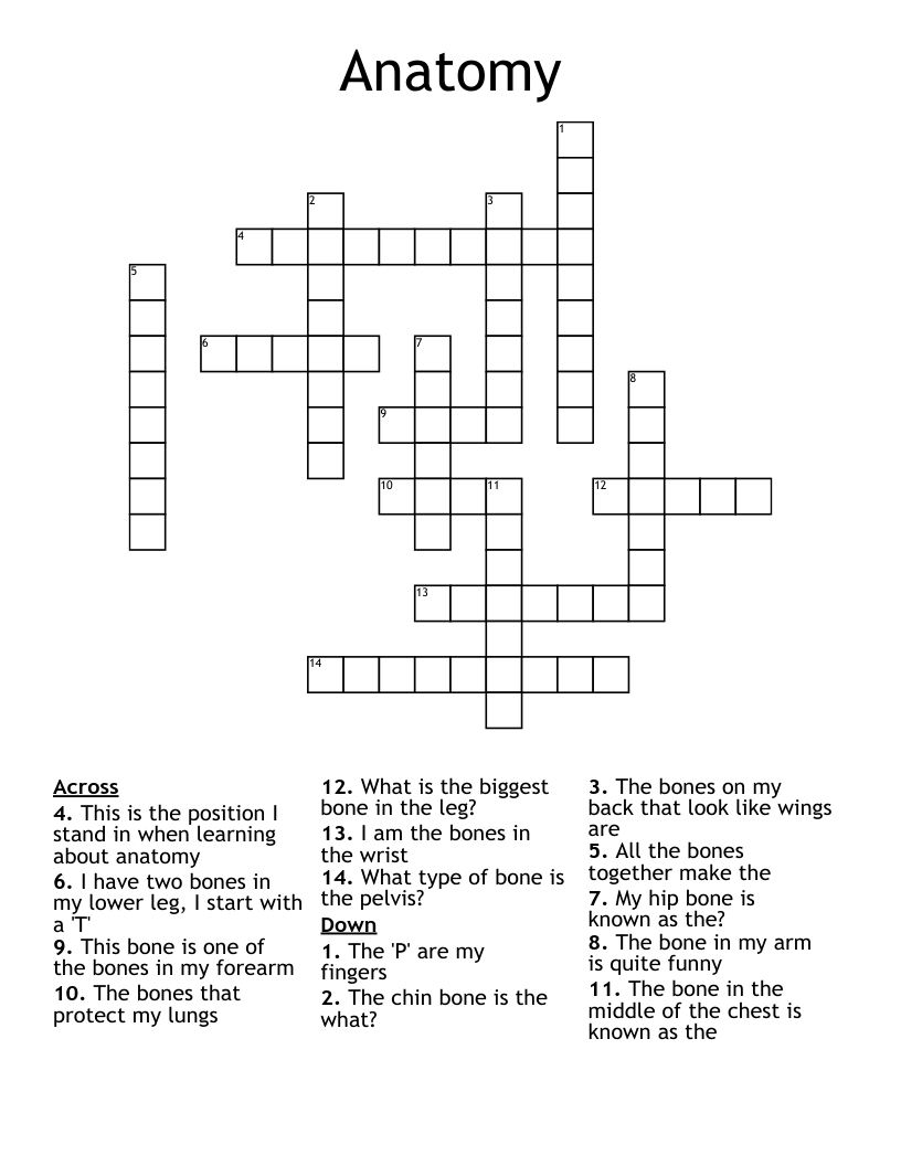Anatomy Crossword