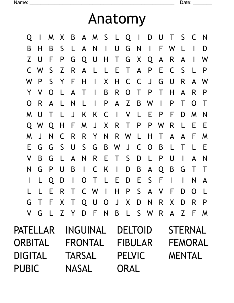 Anatomy Word Search