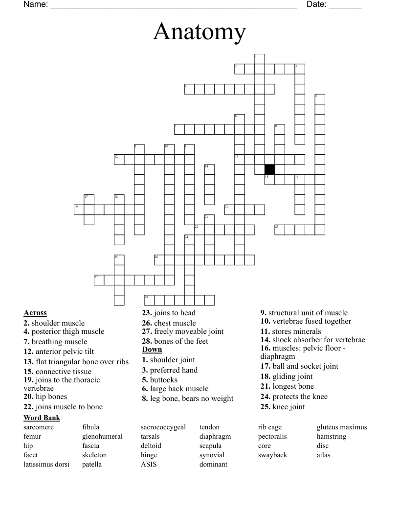 Anatomy Crossword