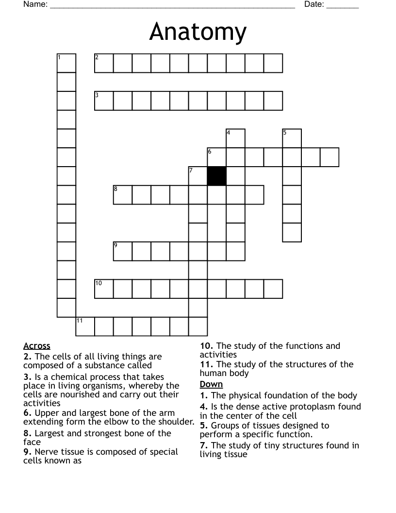 Anatomy Crossword