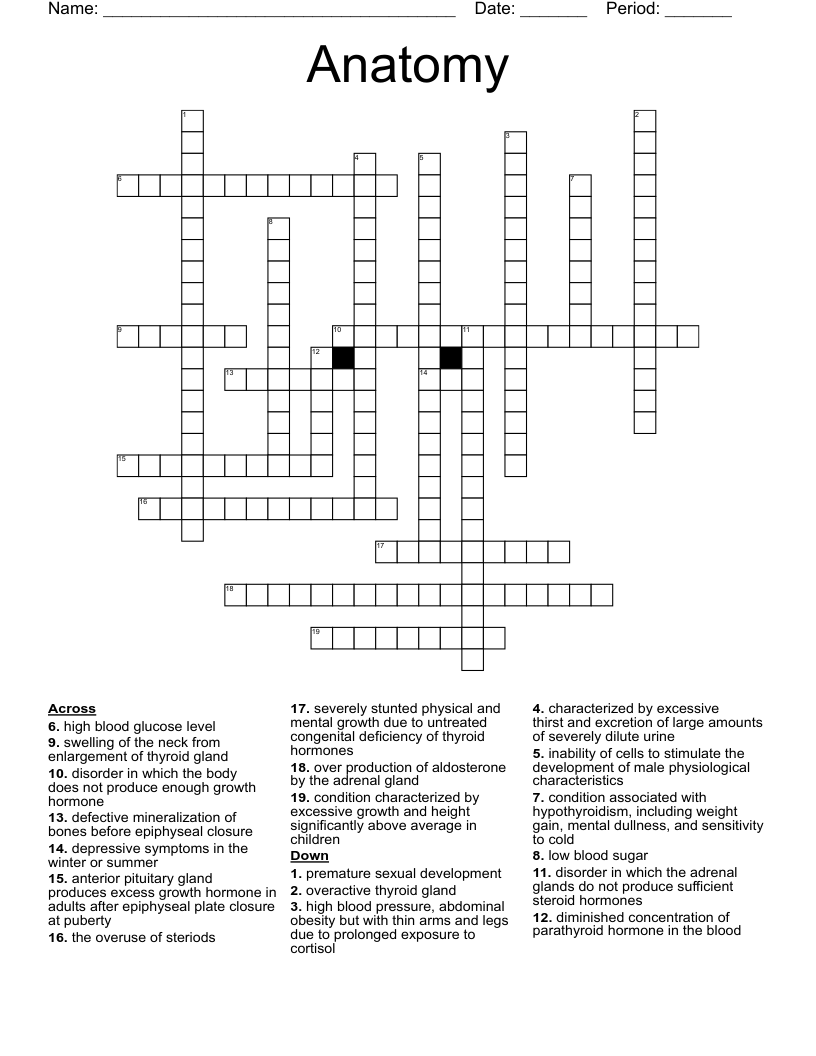 Anatomy Crossword