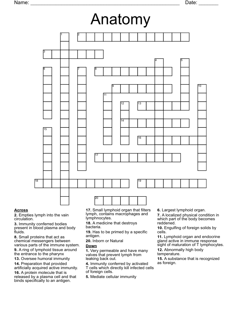 Anatomy Crossword
