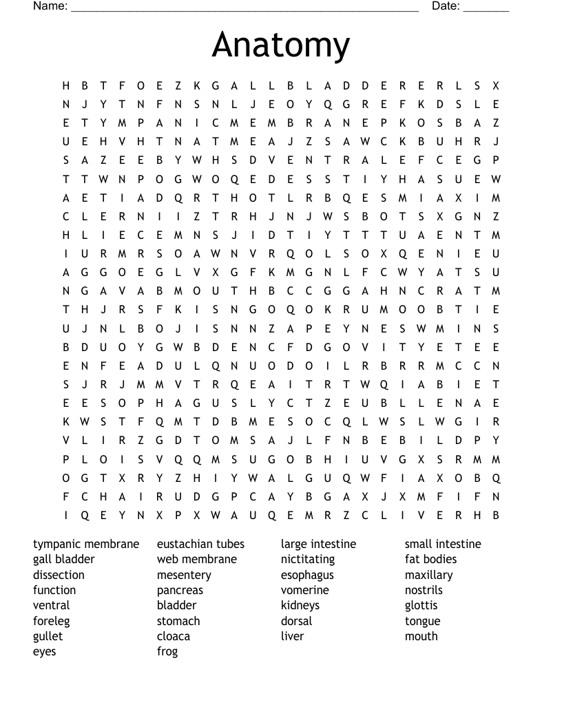Anatomy Word Search