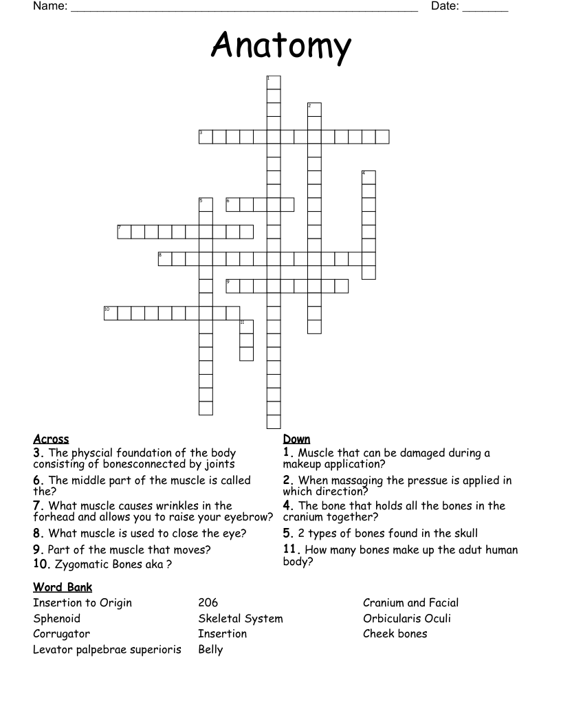 Anatomy Crossword