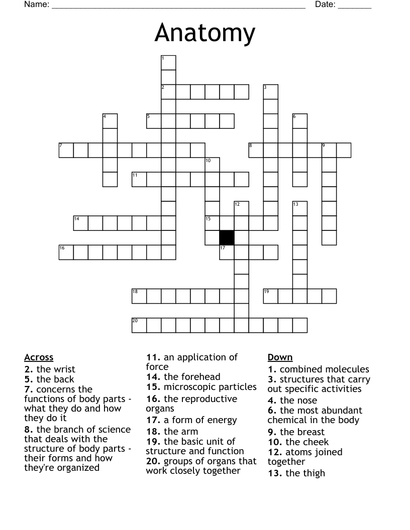 Anatomy Crossword