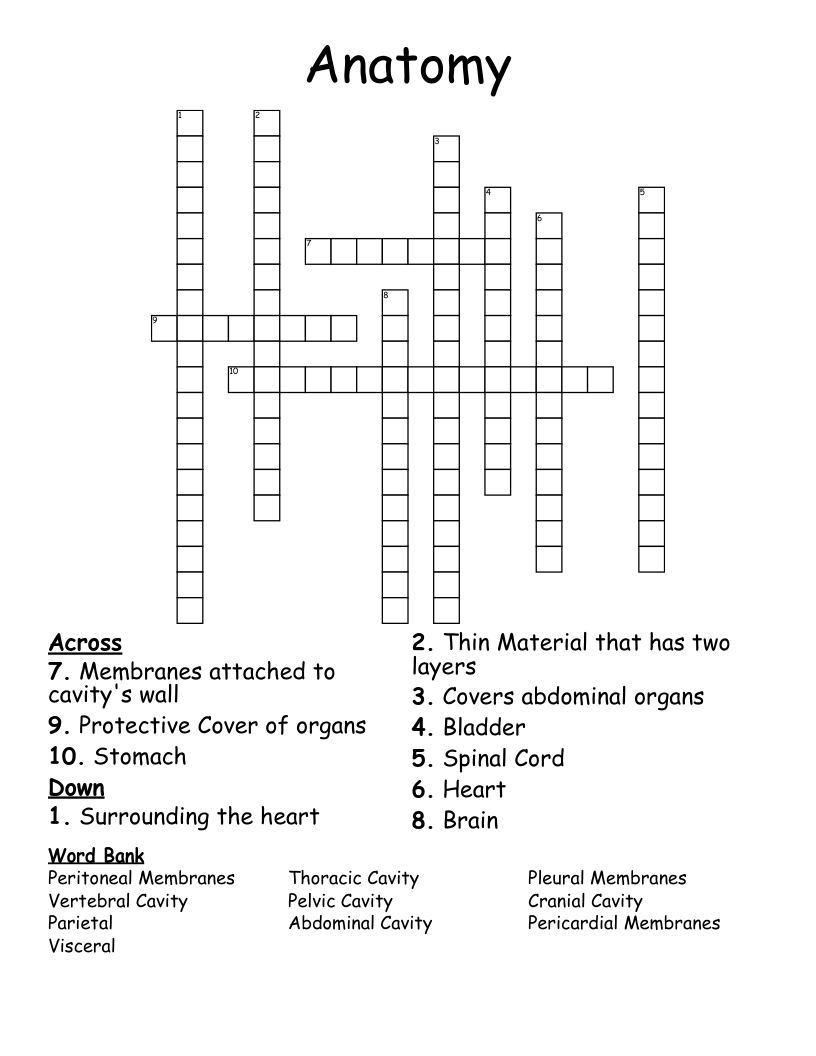 Anatomy Crossword