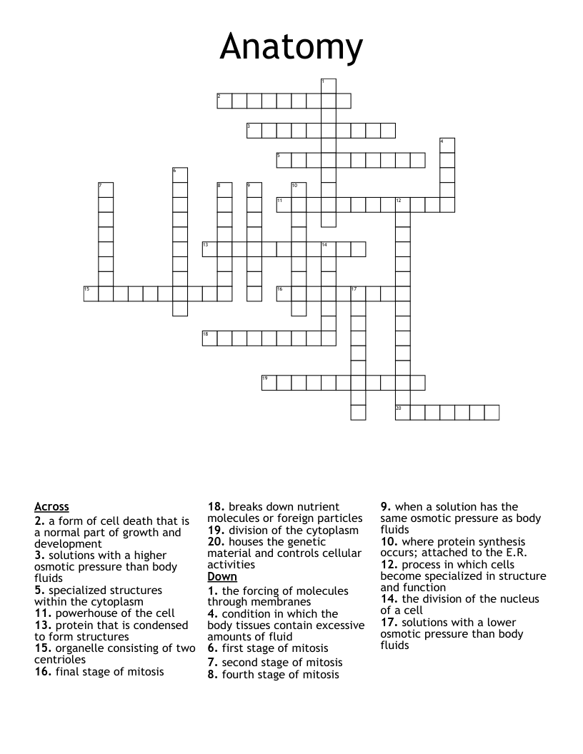 Anatomy Crossword