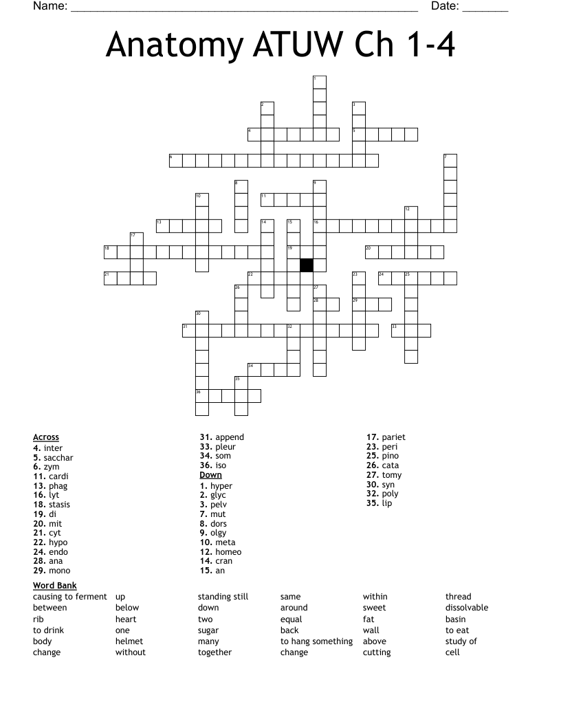 Anatomy ATUW Ch 1-4 Crossword