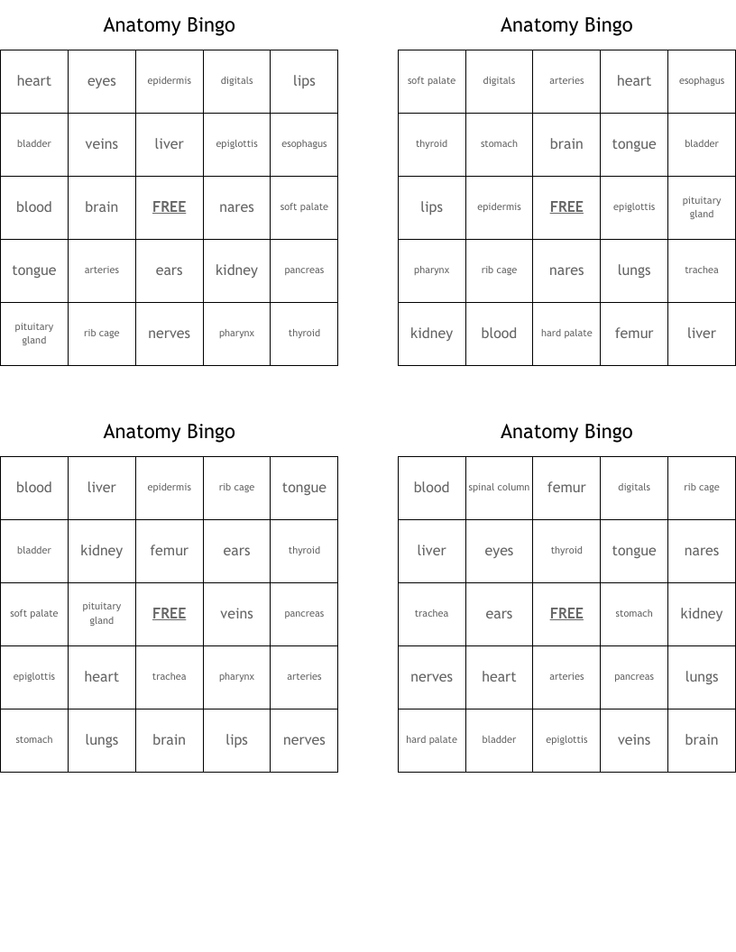 Anatomy Bingo