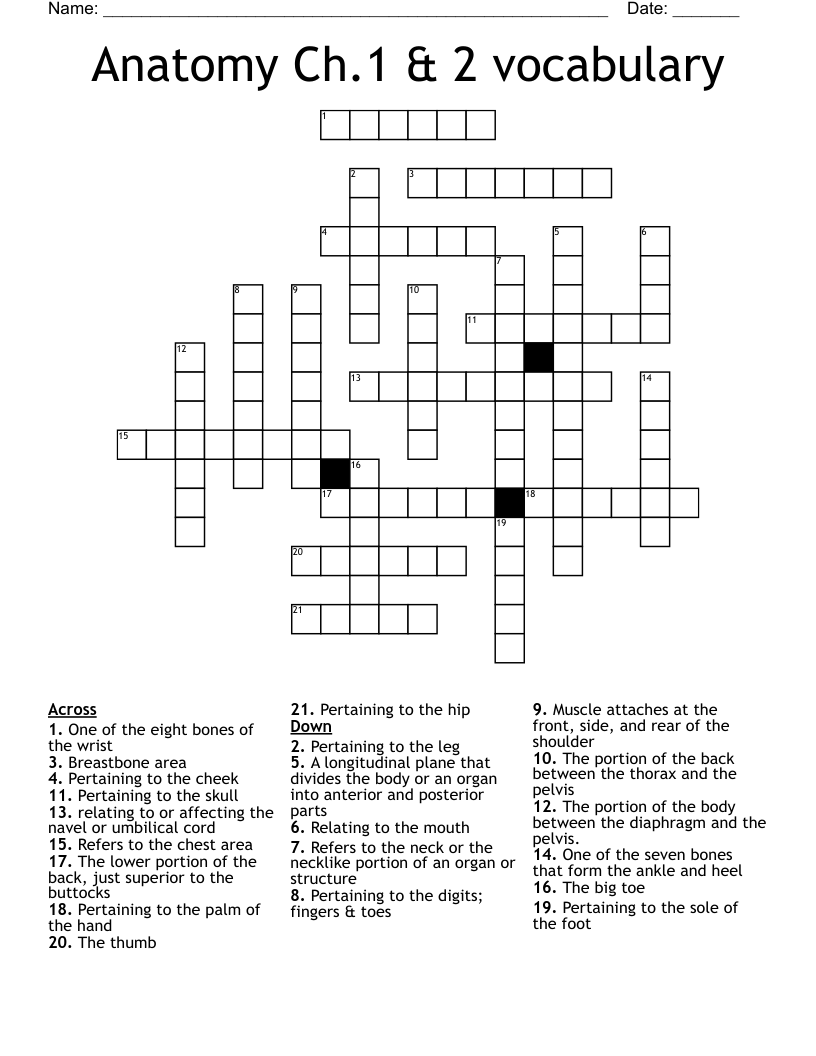 Anatomy Ch.1 & 2 vocabulary  Crossword