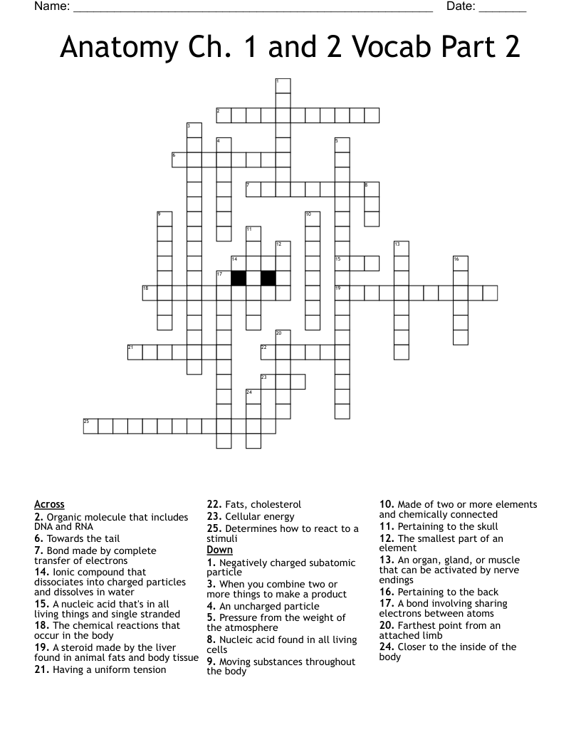 Anatomy Ch. 1 and 2 Vocab Part 2 Crossword