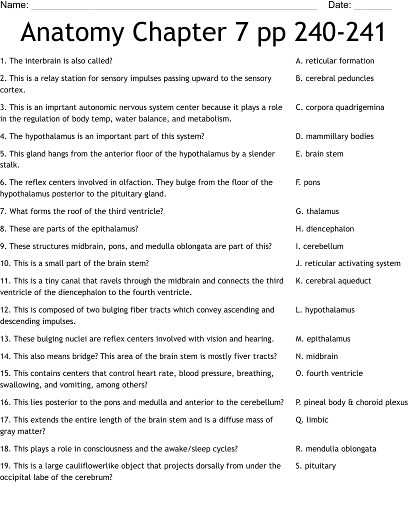 Anatomy Chapter 7 pp 240-241 Worksheet