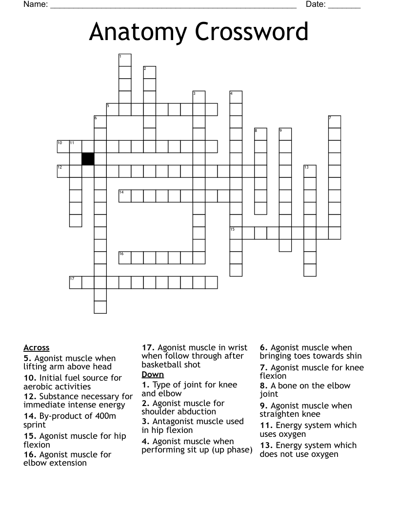 Anatomy Crossword