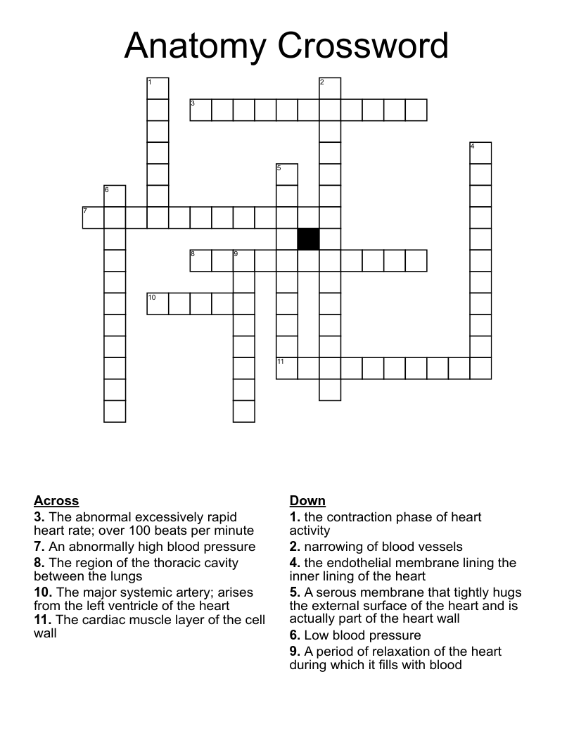 Anatomy Crossword